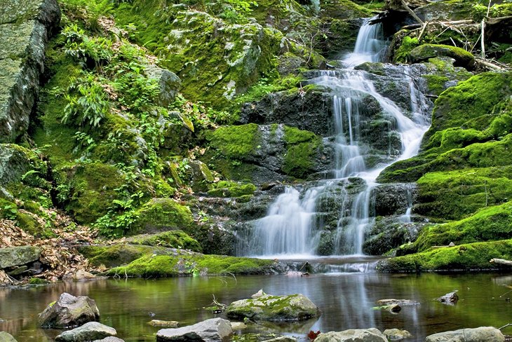 Best Waterfalls in New Jersey