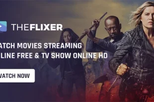 TheFlixer: Your Ultimate Guide to Streaming Free Movies & TV Shows in HD